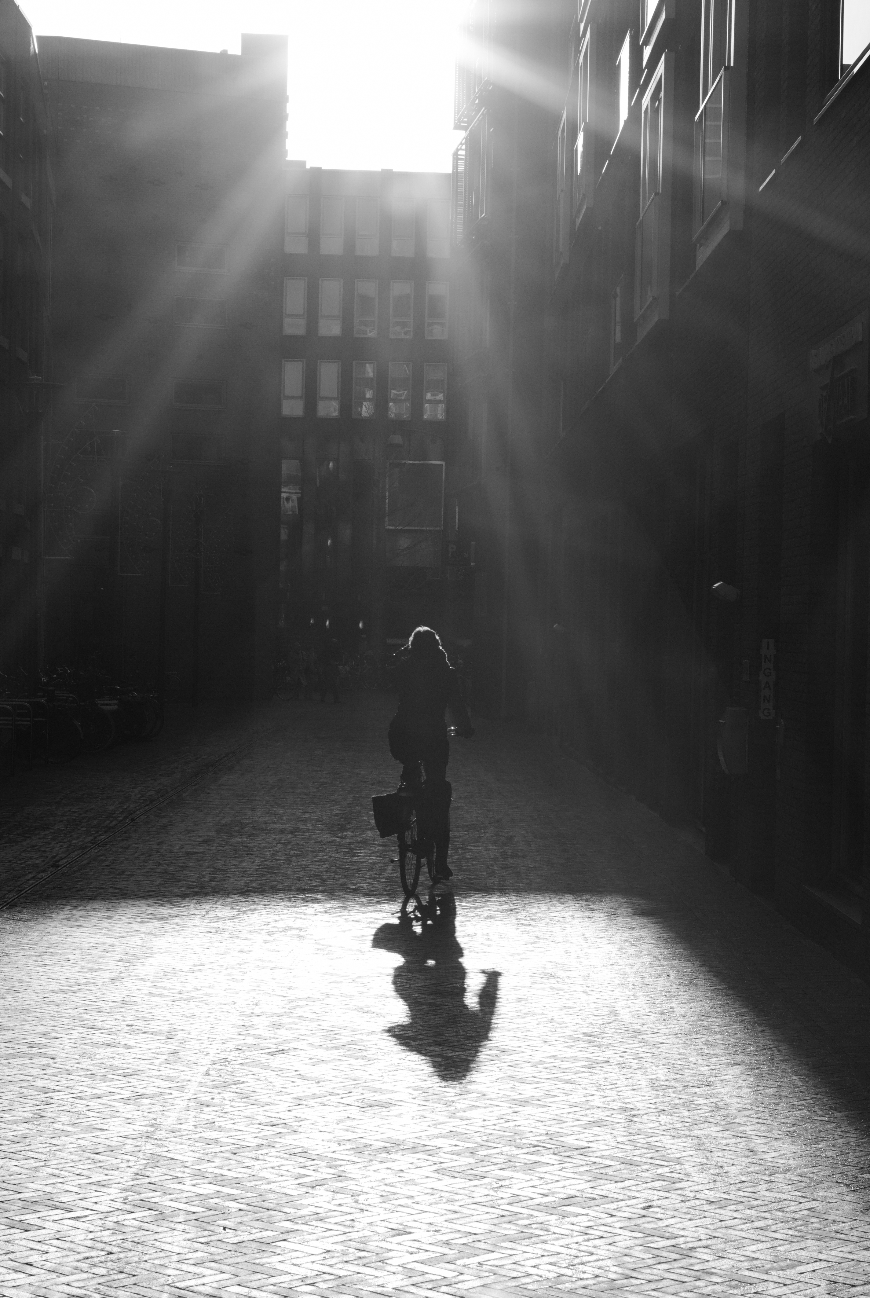 Cyclist crossing a sunlit street in black and white.